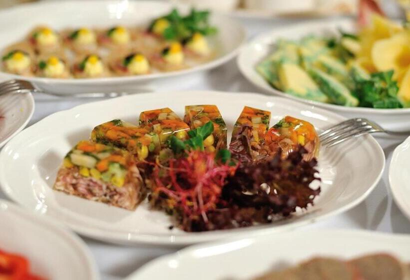 בית מלון כפרי Centrum Sosnowiec