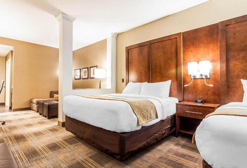 Отель Comfort Suites University Brookings