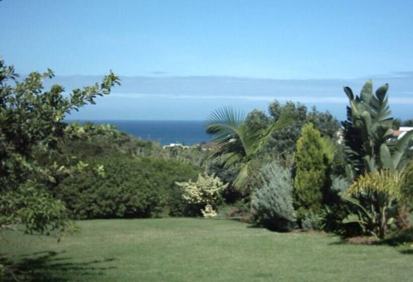 Отель Dolphin View Guesthouse