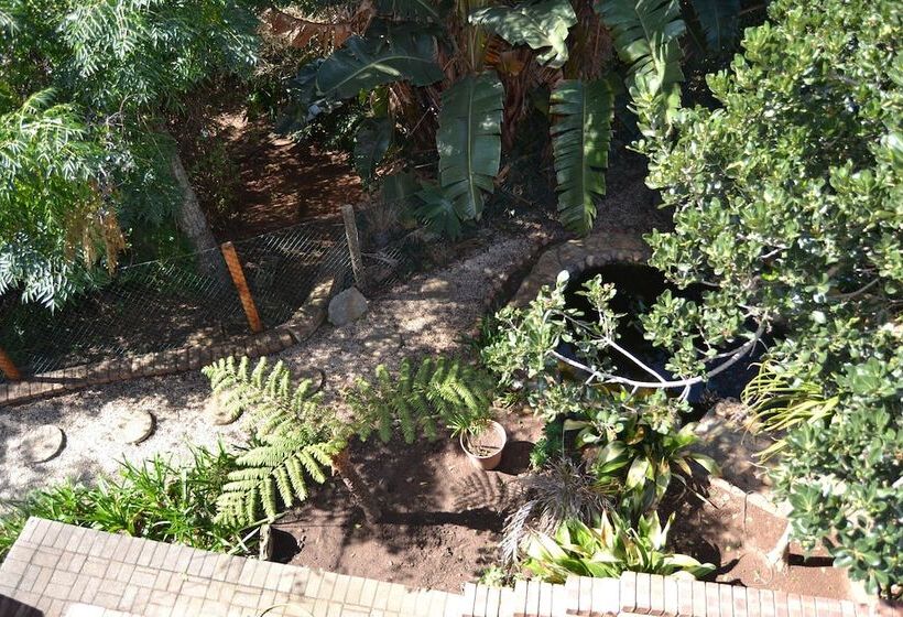 Отель Dolphin View Guesthouse