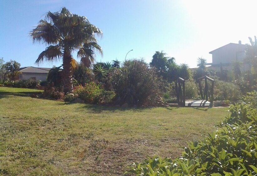 Отель Dolphin View Guesthouse