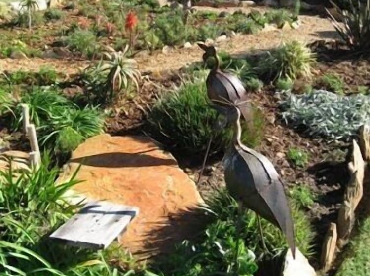 Отель Dolphin View Guesthouse