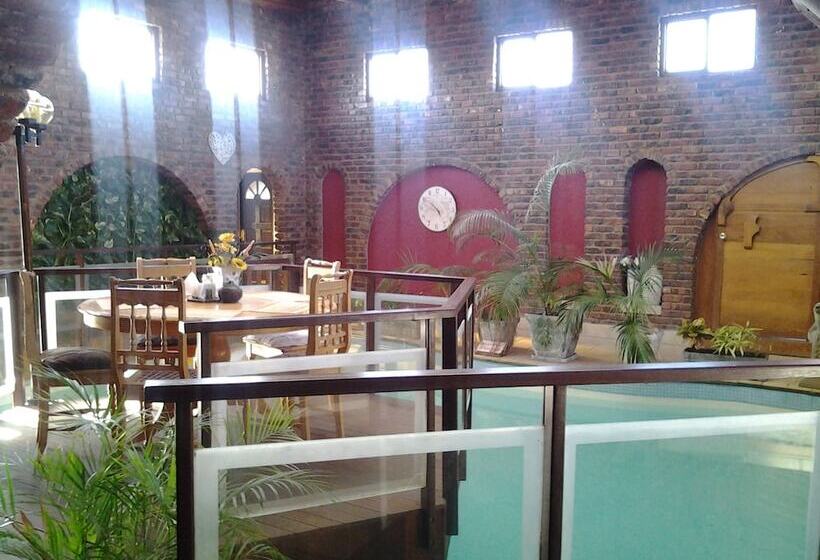 Отель Dolphin View Guesthouse