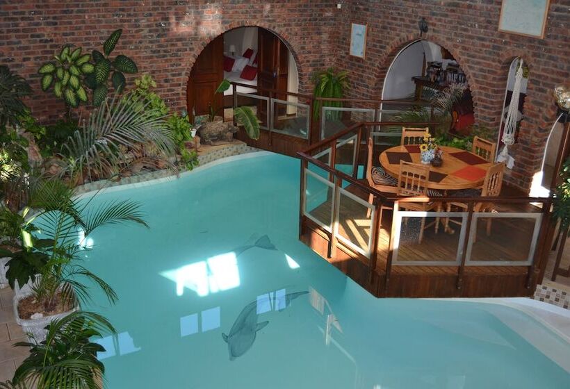 Отель Dolphin View Guesthouse