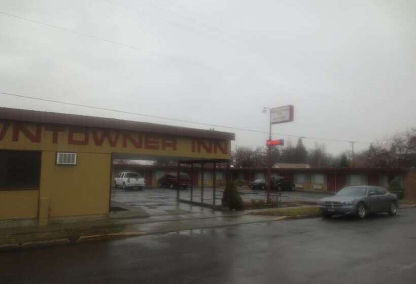 בית מלון כפרי Downtowner Inn