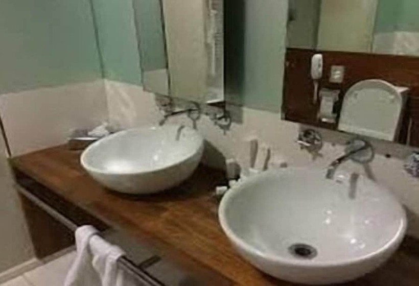 酒店 Downtowner Inn