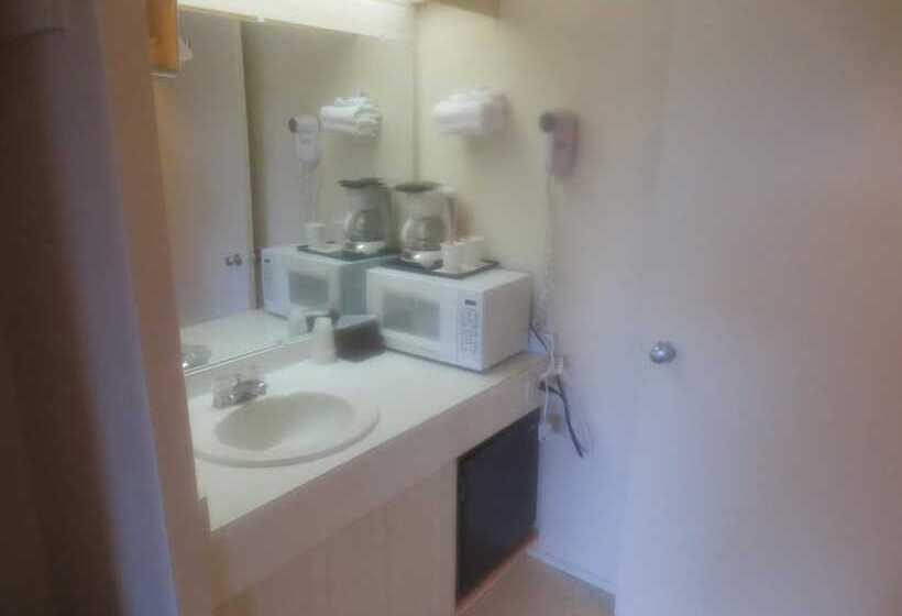 酒店 Downtowner Inn