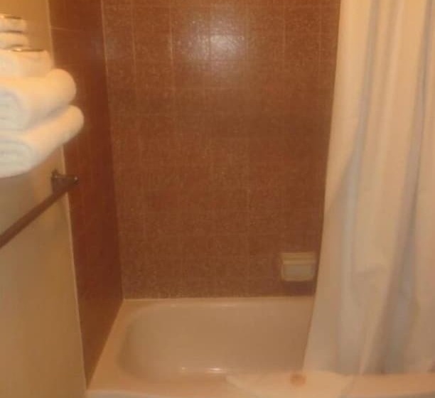 酒店 Downtowner Inn