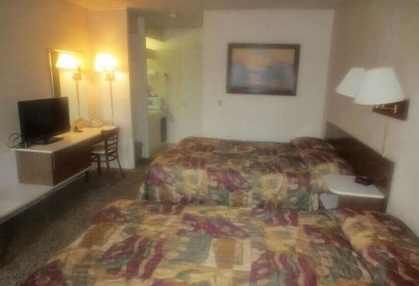 酒店 Downtowner Inn