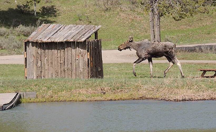 호텔 Eagle Ridge Ranch