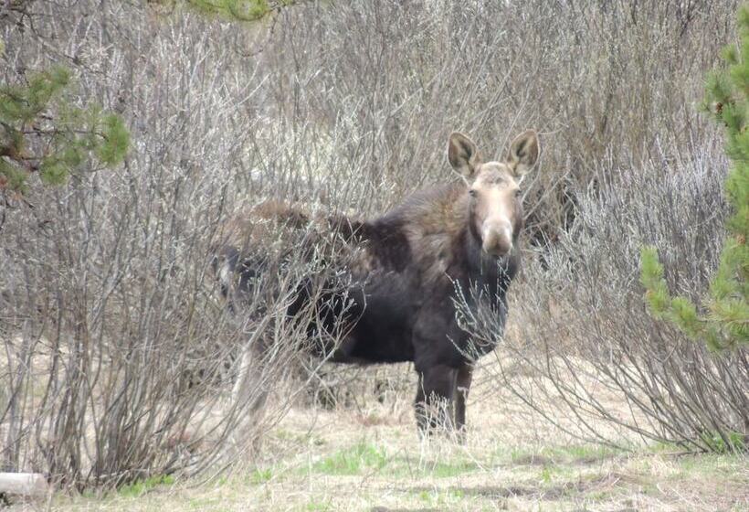 호텔 Eagle Ridge Ranch