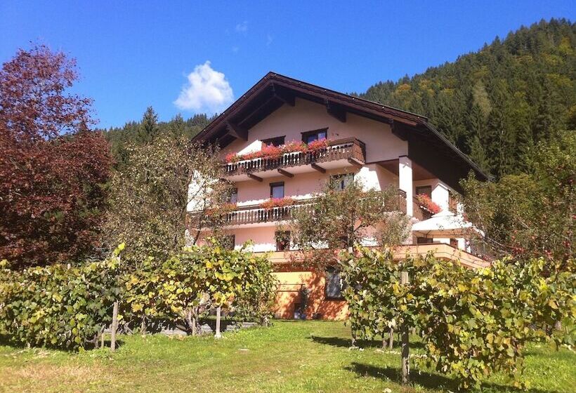 فندق Enzianbrenner