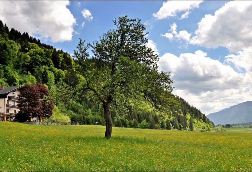 فندق Enzianbrenner