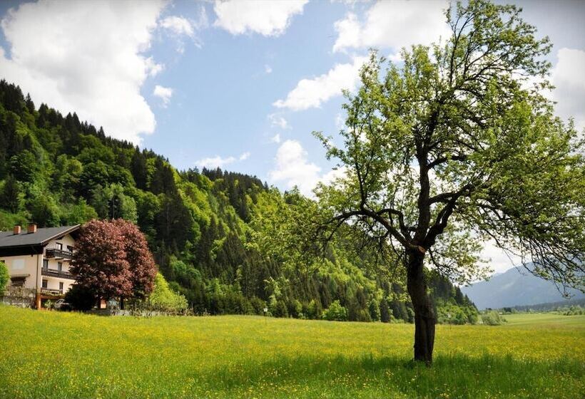 فندق Enzianbrenner