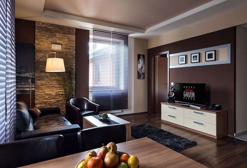 فندق Garzon Plaza