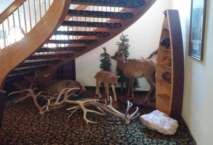 ホテル Greenwood Village Inn & Suites