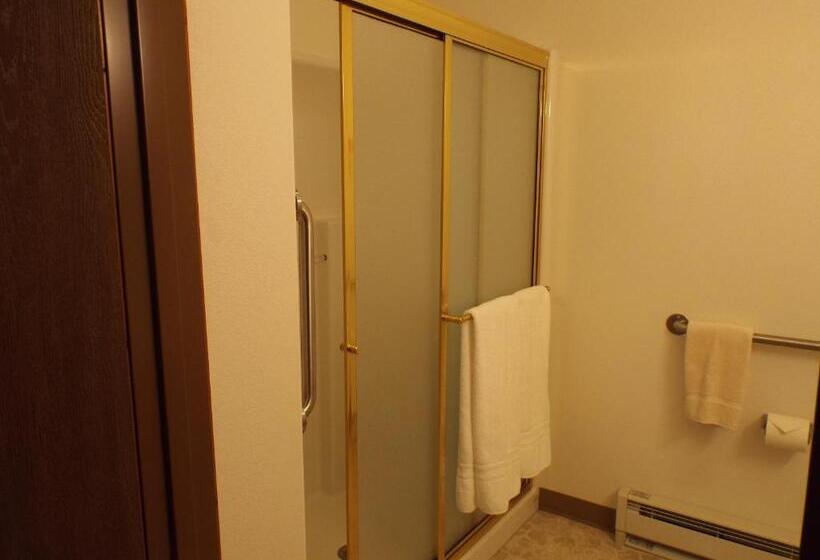 ホテル Greenwood Village Inn & Suites