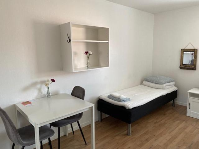 בית מלון כפרי Helsingborgs Vandrarhem, Helsingborg Hostel