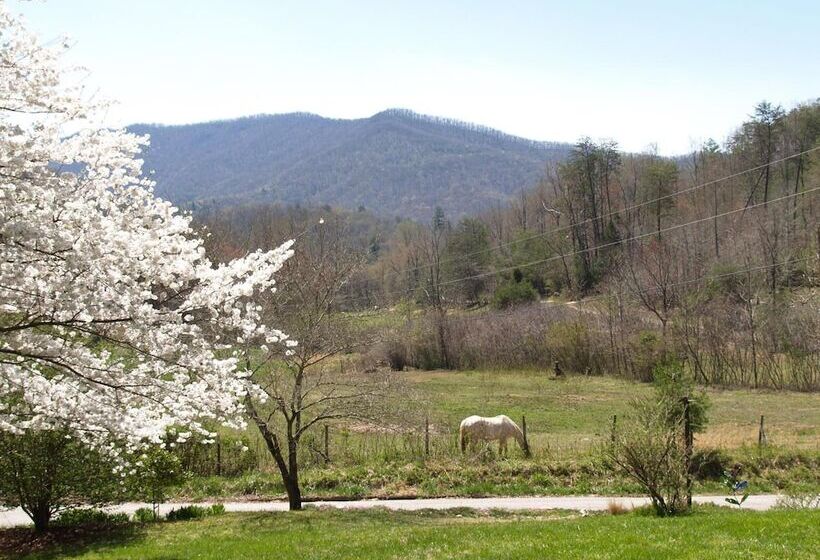 فندق Henson Cove Place Bed And Breakfast W/cabin