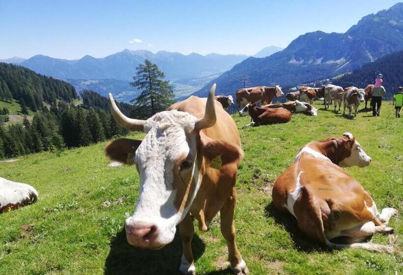 فندق Historischer Bauernhof Schabus