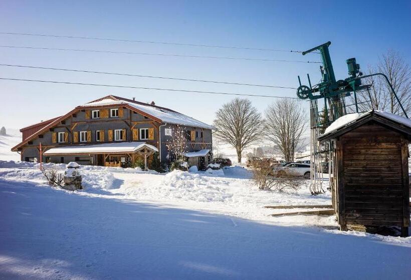 Отель Hôtel Le Manoir Des Montagnes