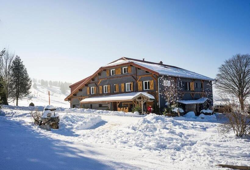 Отель Hôtel Le Manoir Des Montagnes