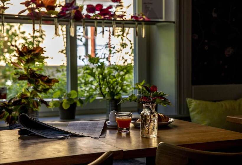 בית מלון כפרי L Park