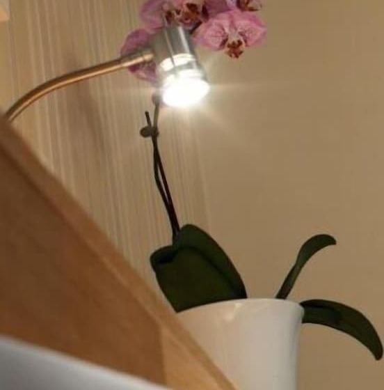 בית מלון כפרי L Uddewalla