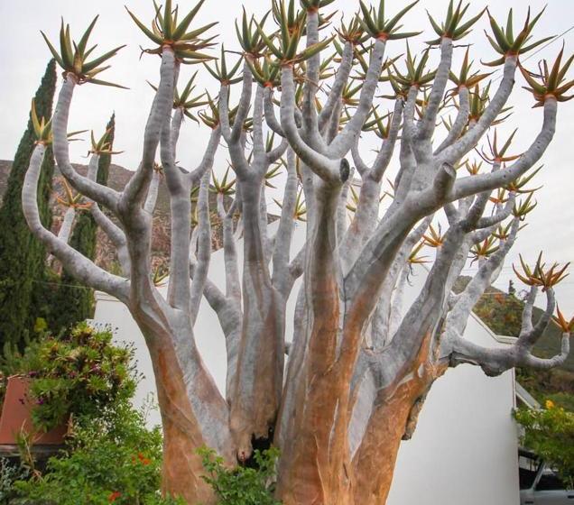 Montagu Little Sanctuary   Hot Spring Access At Reduced Price