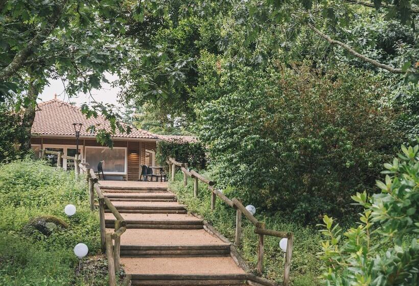 Отель Logis Hôtels Le Saint Pierre