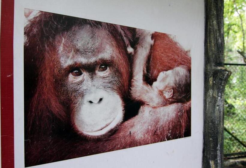 فندق Luwansa Palangkaraya