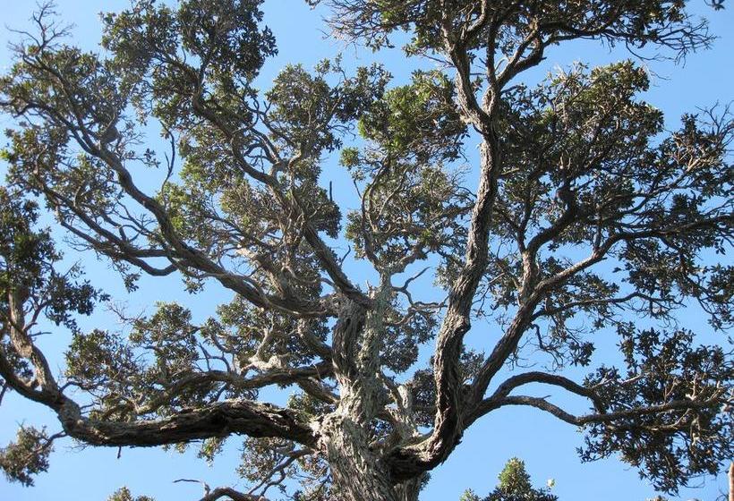 בית מלון כפרי Marino Ridge