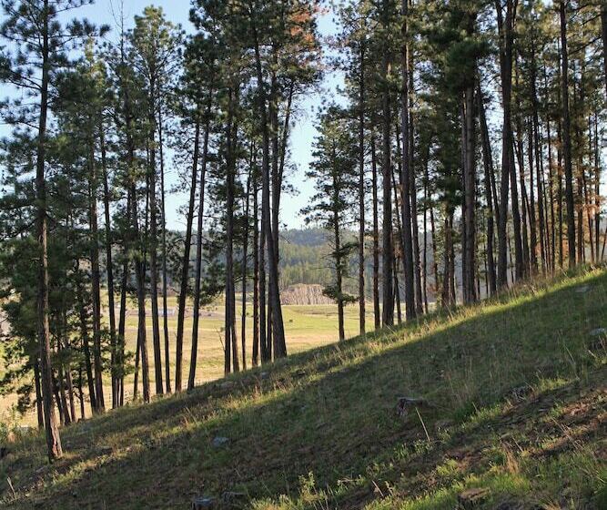 בית מלון כפרי Mountain View Lodge & Cabins