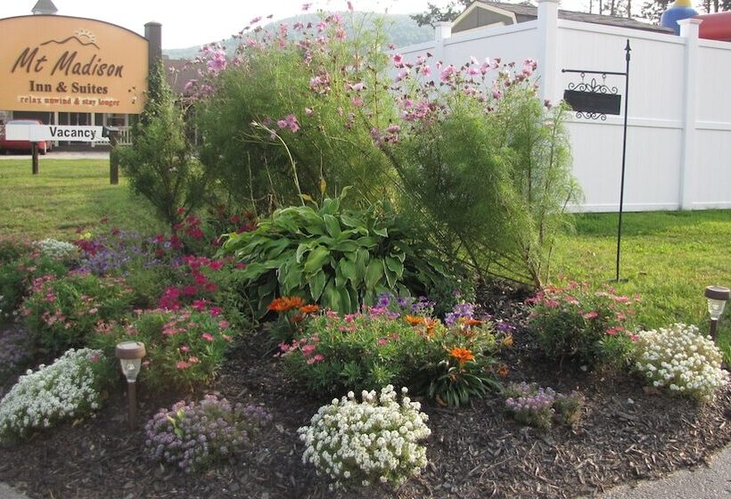فندق Mt Madison Inn & Suites