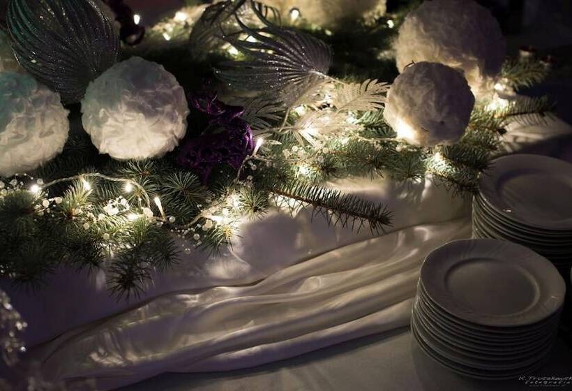 فندق Noclegi Europa