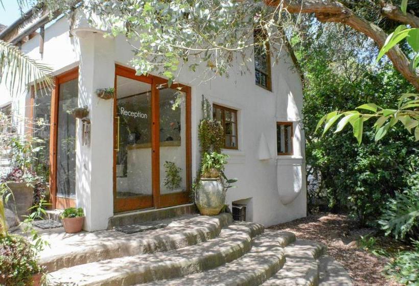 בית מלון כפרי Old Thatch Lodge