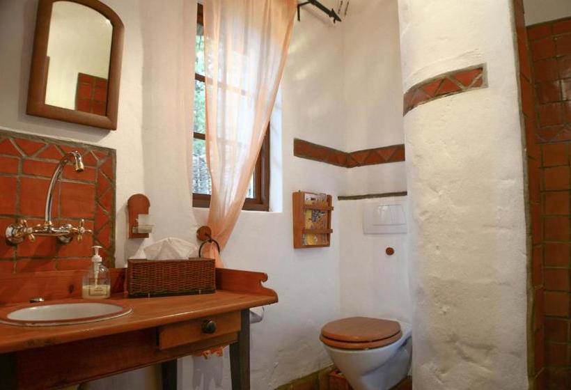 בית מלון כפרי Old Thatch Lodge