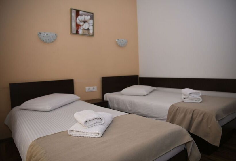 酒店 Pensiunea Zbor