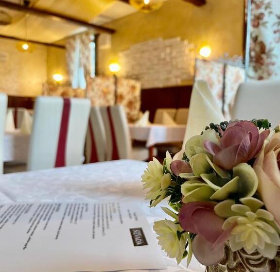 هتل Penzion Nevada