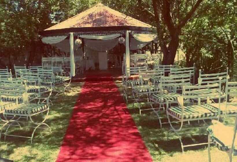 فندق The Red Tin Roof