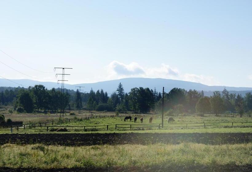בית מלון כפרי Rezydencja Villa Nova