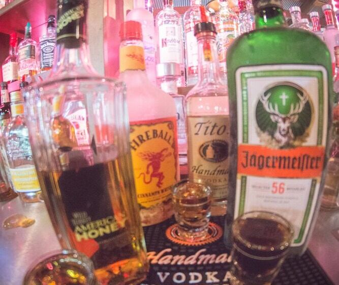 호텔 Skyline Lodge