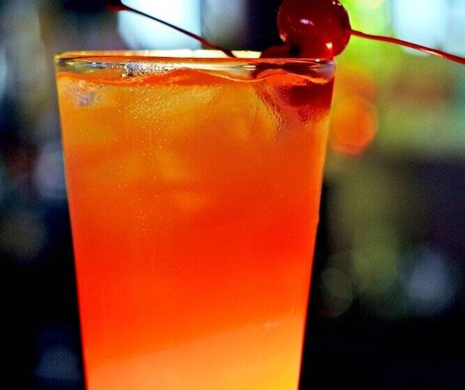 호텔 Skyline Lodge