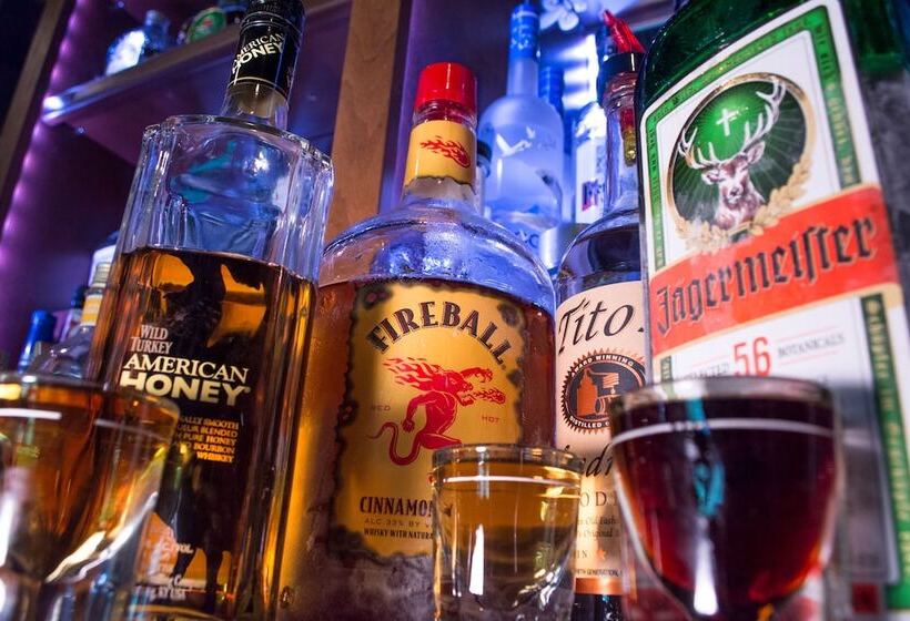 호텔 Skyline Lodge