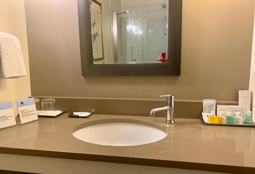 酒店 The Barrington