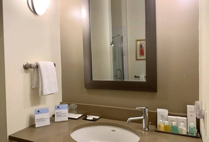 酒店 The Barrington