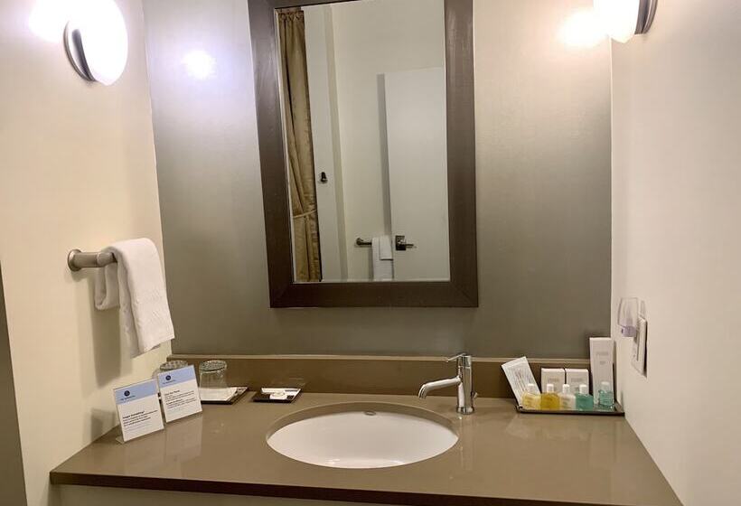 酒店 The Barrington