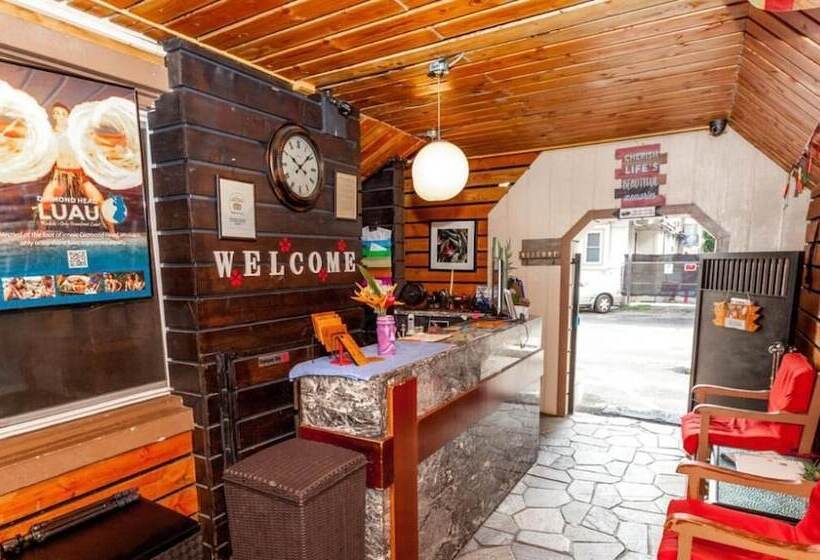 ホテル The Beach Waikiki Boutique Hostel