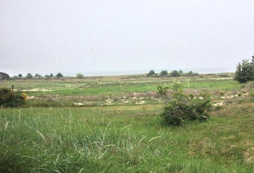 בית מלון כפרי Vadehavet