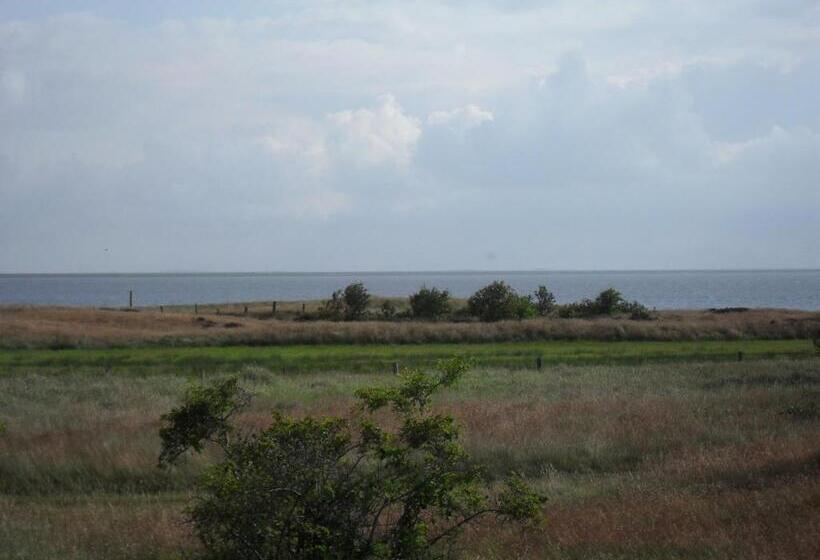 בית מלון כפרי Vadehavet